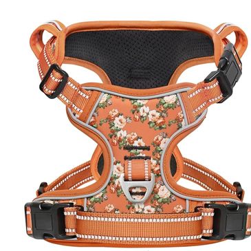 Harness with front clip