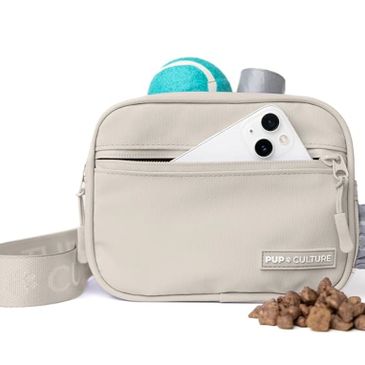 Treat pouch