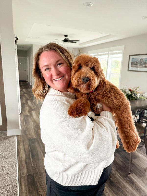 goldendoodle guardianship