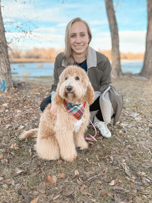 goldendoodles in montana