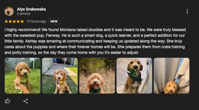 montana-raised-doodles-reviews