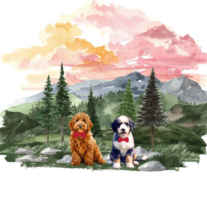Montana Raised Doodles