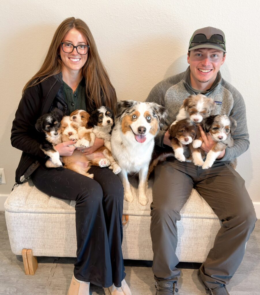 Go home day for momma with her puppies and parents
